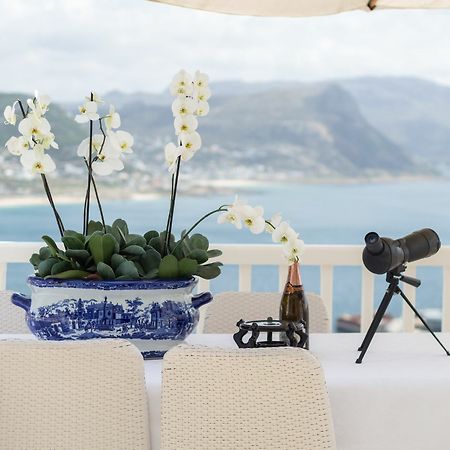 Penguin Palace Simonʼs Town Exteriér fotografie